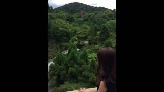 京都の名所【清水寺】へ♡おみくじもひいてみた　冨張愛 C CHANNEL