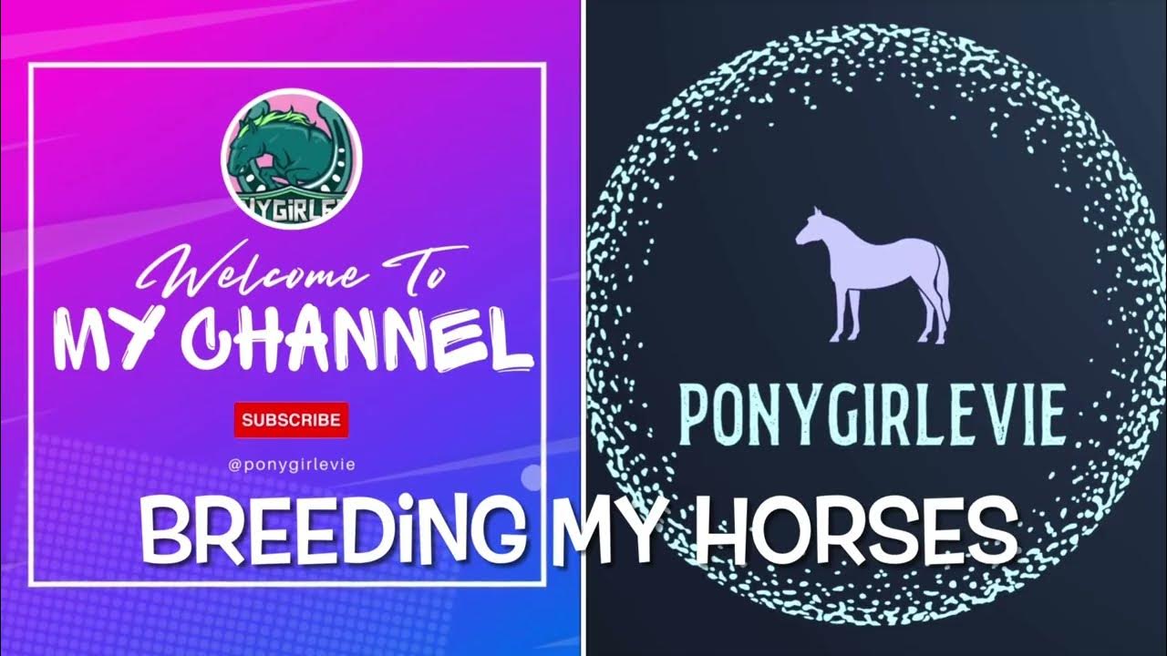 How to breed horses on minecraft swem so cute need name ideas for the