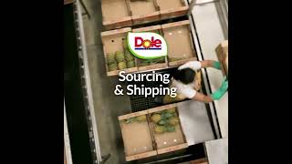 Sourcing & Shipping
