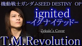 機動戦士ガンダムSeed Destinyignited -イグナイテッド- T.m.revolutionzekules Cover