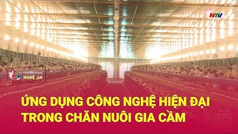 Ứng dụng công nghệ hiện đại trong chăn nuôi gia cầm