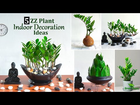 Videó: Zölddekorációs ötletek – Az örökzöld növények beltéri használata
