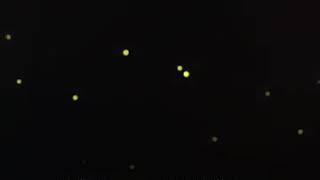 Taht Kurmuşsun Kalbime