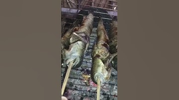 Cá Thòi Lòi Nướng Mọi Món Ngon Không Thể Bỏ Qua #shorts