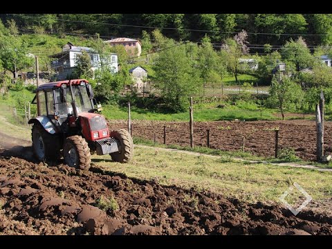 აჭარაში ფერმერებს სახნავ-სათესი ფართობების დამუშავება უფასოდ შეეძლებათ