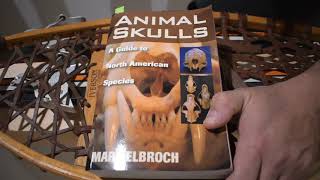 Dark Water Reviews: Animal Skulls by Mark Elbroch