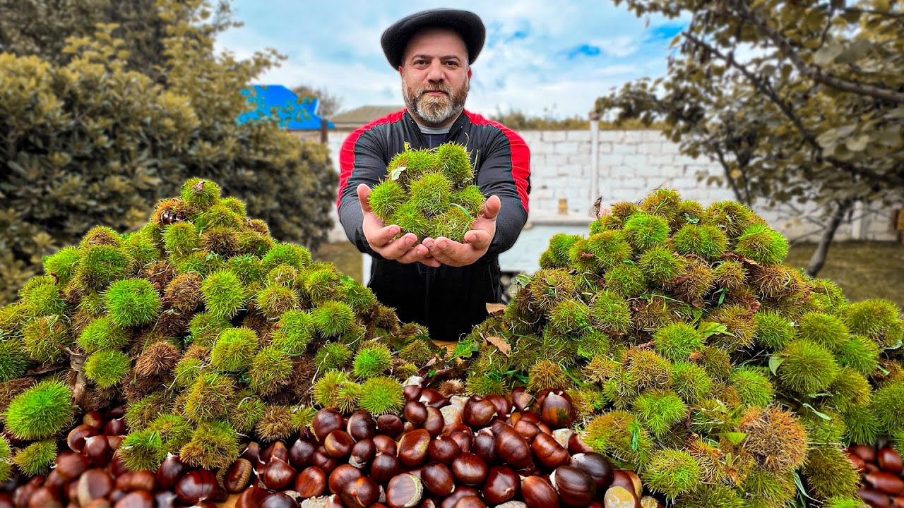Осенний пир 🍂 Готовим мясо со свежими каштанами!