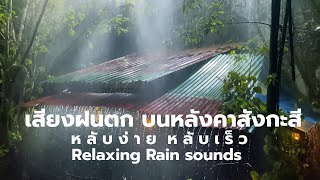 เสียงฝนตกหนัก หลับง่าย  rain sounds for sleeping