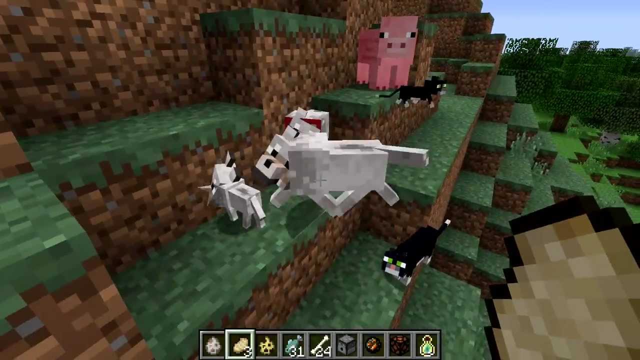 Minecraft Update 1.2 - Giungla ,Gatti, Ocelots, Cuccioli e 