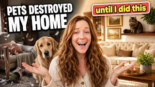 Pet Friendly Home Decor Ideas That Look Good