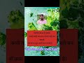 nazariye badal