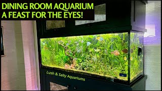 Dining Room Display Aquarium Feast for Eyes & Soul!