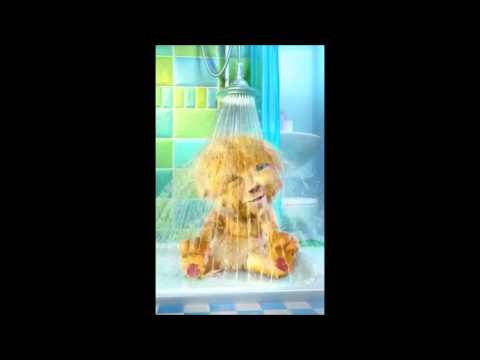 شركة الورد للاستضافة و البرمجة و التصميم 