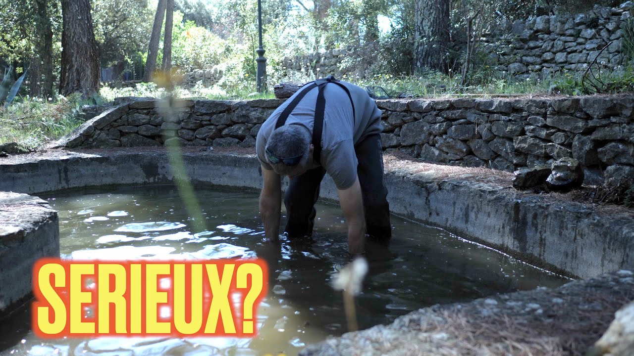 C'est quoi ce bassin? 😓  (Floraquatic)