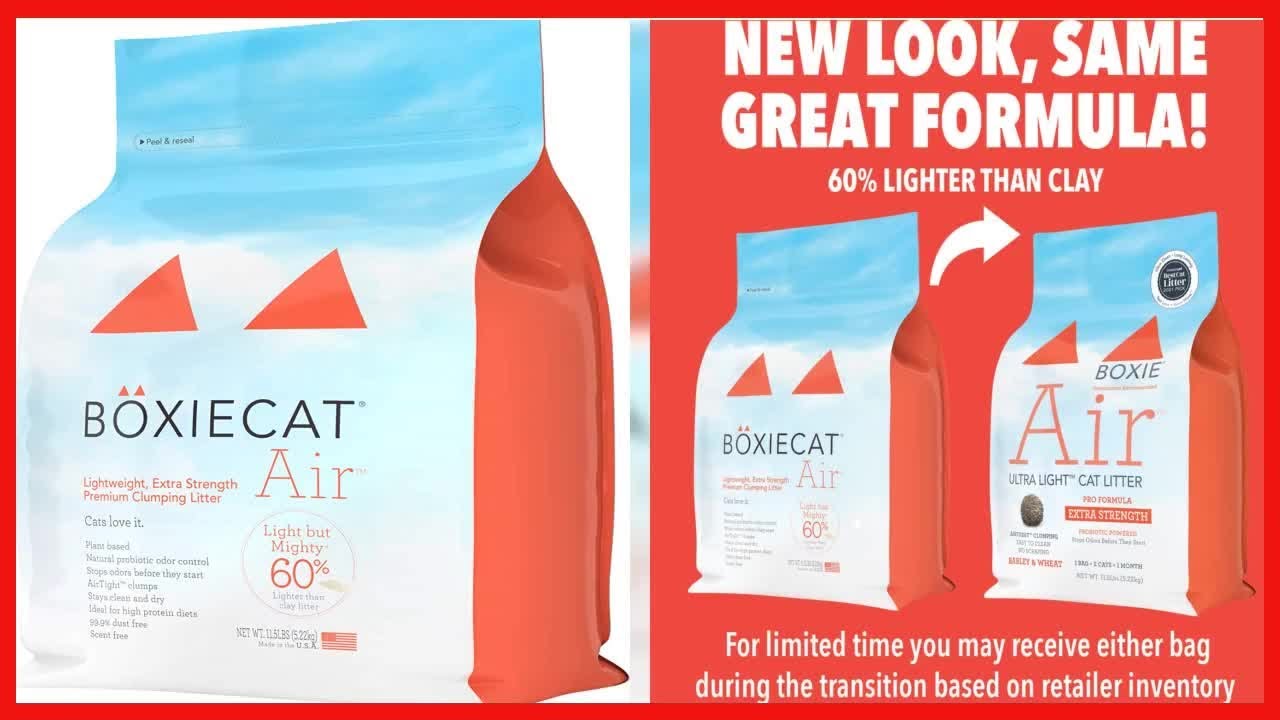 Boxiecat Air Lightweight, Premium Clumping Cat Litter YouTube