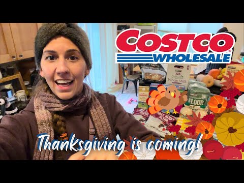 Costco Grocery Haul & Yummy Treats | Large Family Vlog