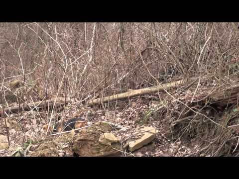 Skyview's Kids Running In The Wild Harrison County WV