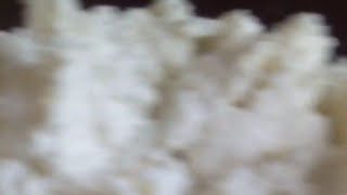 Chena banana-Soft Cottage Cheese making #food #homecuisine #recipe #cheese #cooking #homemade #छैना screenshot 2