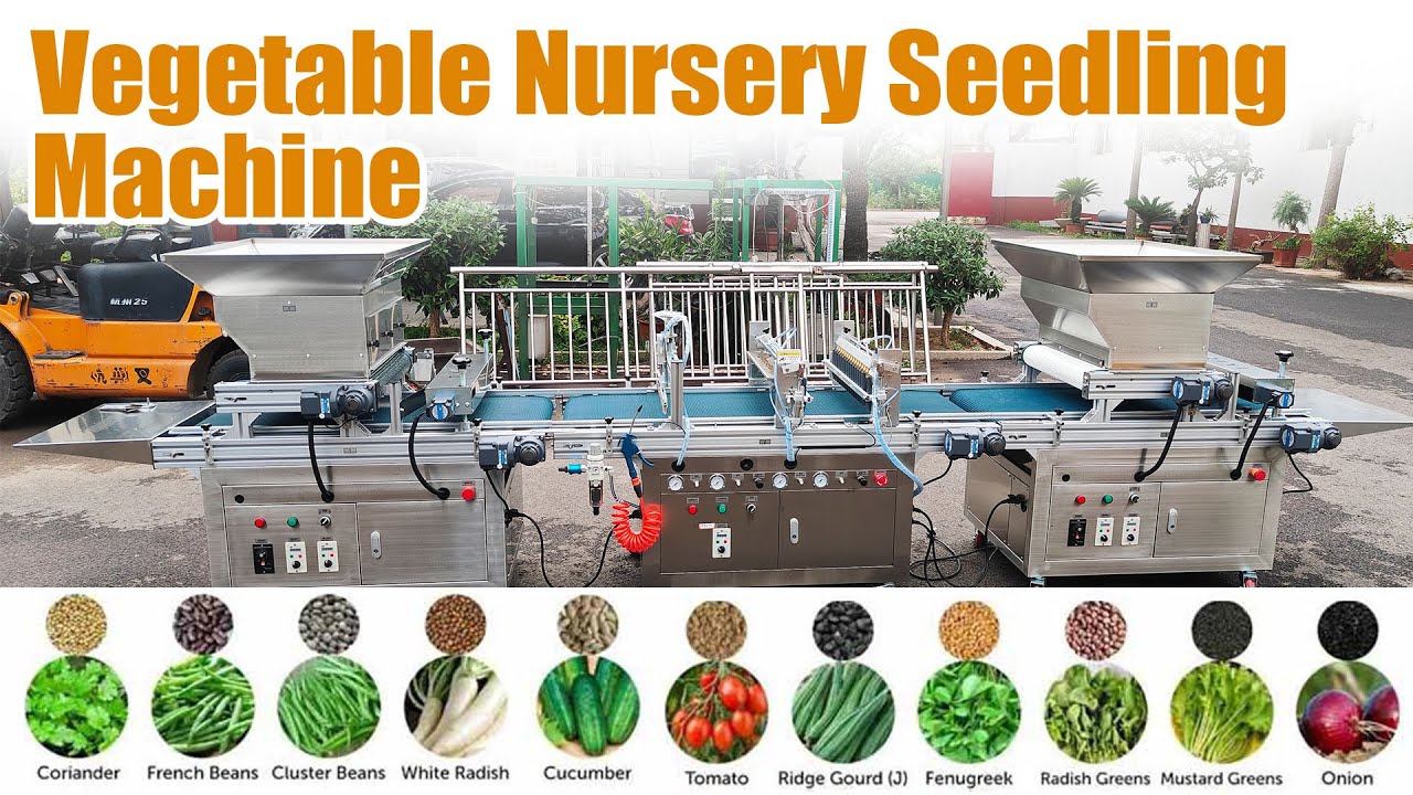 Automatic nursery seed sowing machine with double row seeding and 3 seeds in one hole | Nursery farm