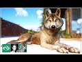 🦓 Timber Wolves Habitat & round viewing gallery | Let's play Planet Zoo Franchise Mode | BETA | #5