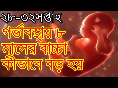 ভিডিও: একটি শিশু 8 মাসের মতো দেখতে কেমন লাগে