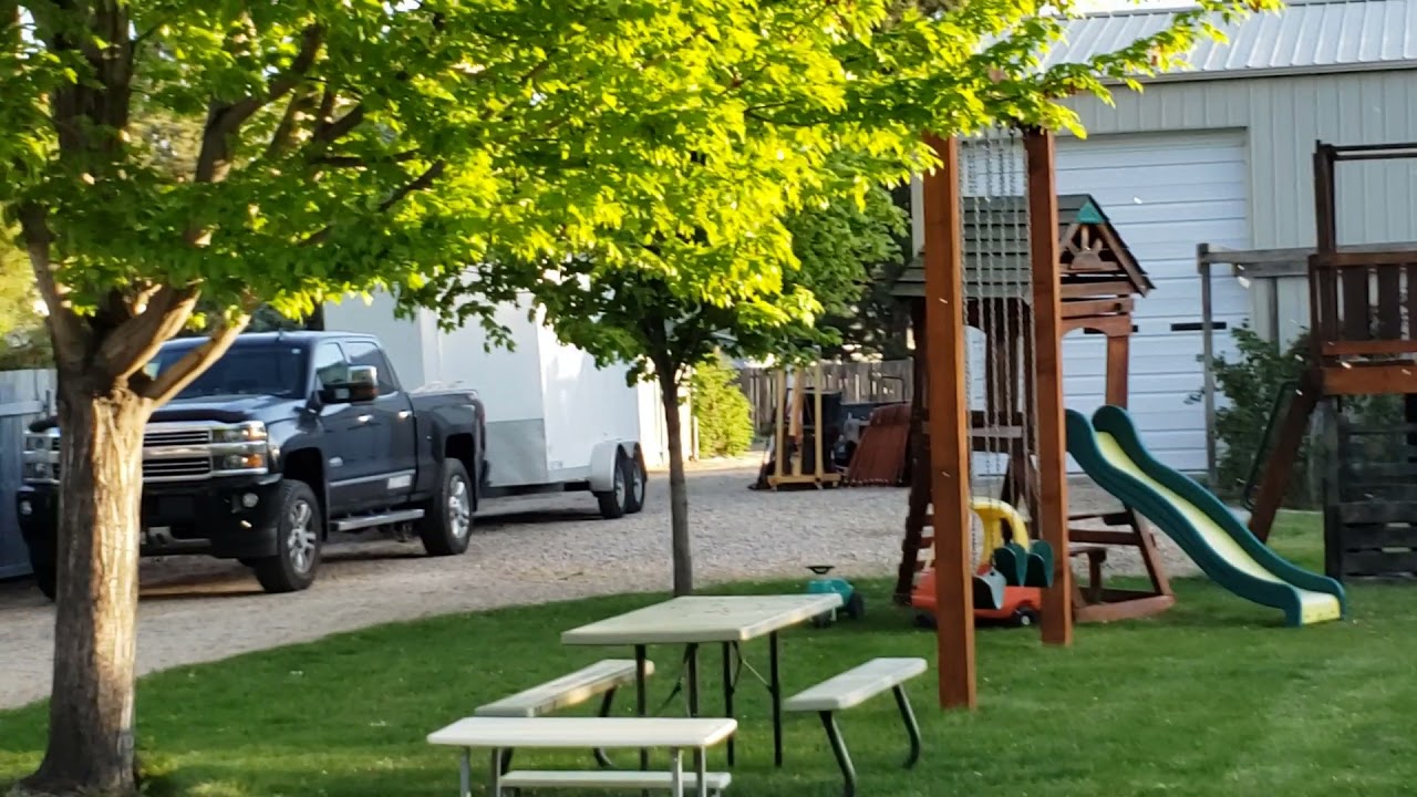 Which Maples Drop Seeds In Spring?