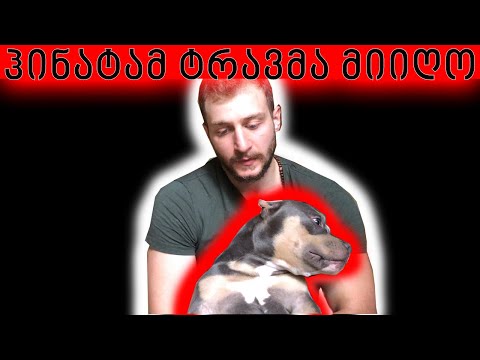 ვიდეო: ყინვა ცუდია ძაღლებისთვის?