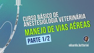 Aula 15 - Manejo de vias aéreas - parte 1/2 (Curso básico de anestesiologia veterinária)