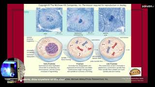HBio Unit 05 Review of Heredity: Cell Cycle, Mitosis, Meiosis, Development & Genetics