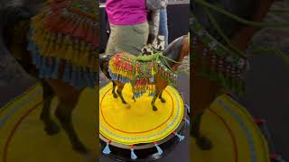 More beautiful models from Breyerfest! #breyer #breyerfest #breyerfest2023
