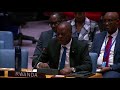 Rwandan envoy Ernest Rwamucyo addresses UN Security Council briefing on DR Congo security crisis