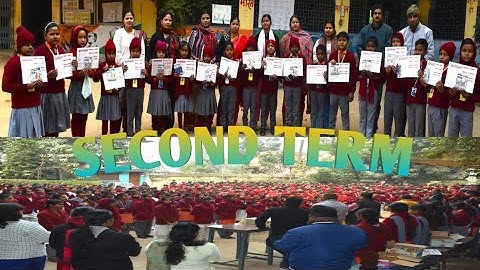 Second Term Result Decleration 2024-25 | Result Of Exams | Result Celebration #video #new #like #yt