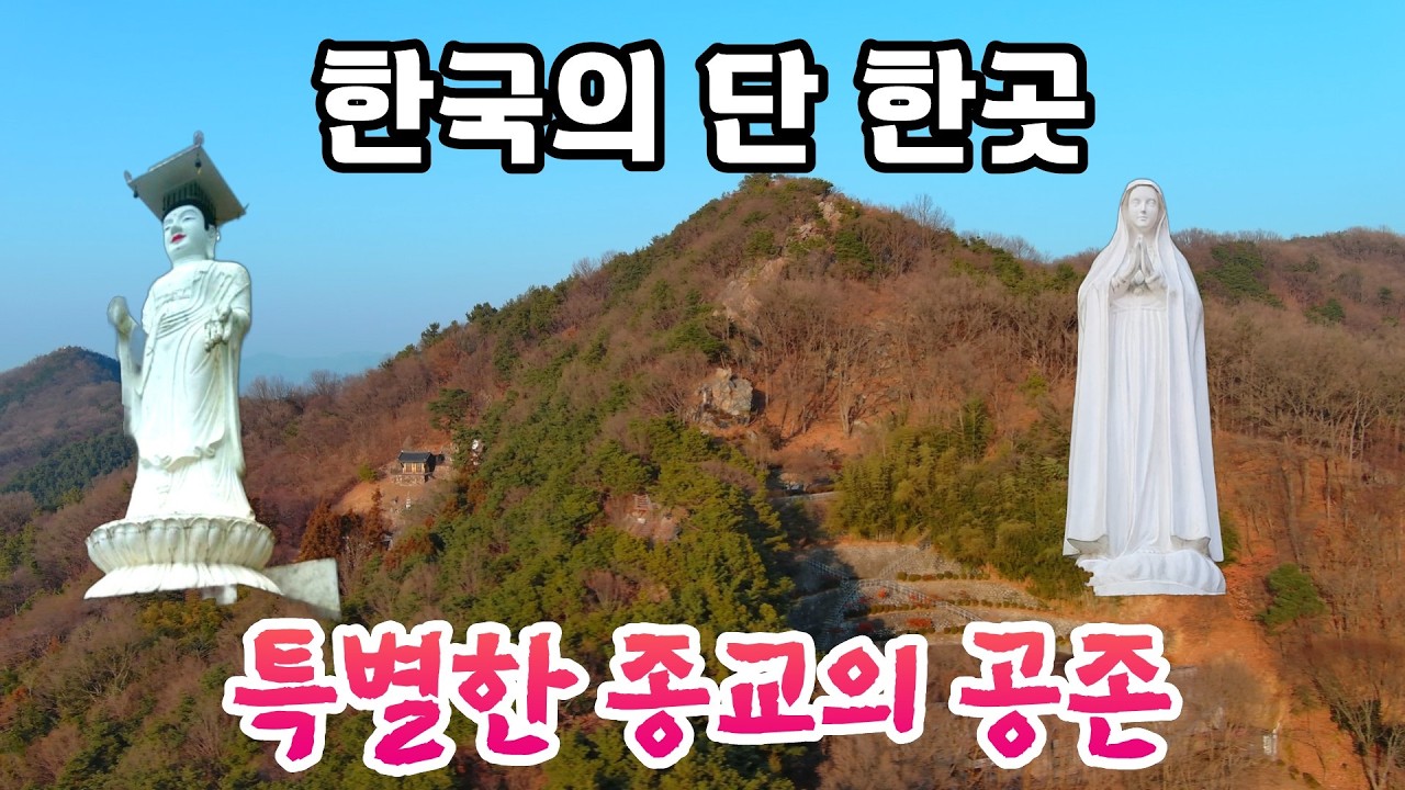 한국유일 이곳을 가보지 않고는 전주를 다봤다고 이야기하지 말라 #시골빈집 #오지산골
