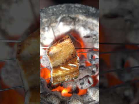 【七輪】サバの炭火焼がうますぎる！　#bbq #seafood #asmr #キャンプ飯