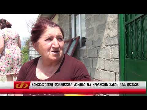 ხურვალეთში დევნილები ქერისა და ხორბლის ყანას ვერ იღებენ