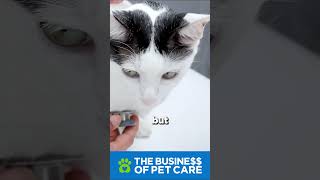 Veterinarians and Compassion Fatigue