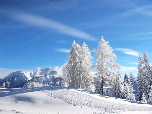 Winter Piano渡辺雄一