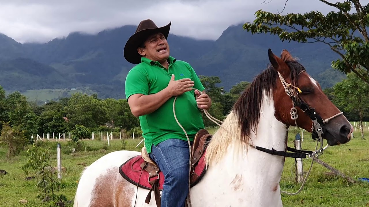 Palomita Mensajera - Vilamil Torres "El Azulejo del Llano"