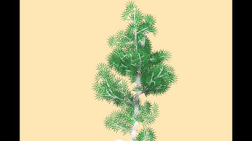 Procedural trees in Starboretum