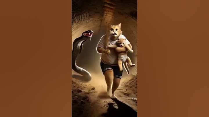 Treasure found through a little cat's prank😆😄