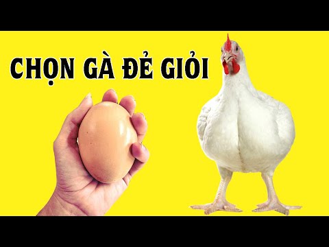 Video: Phát thải cho thị trường là gì?