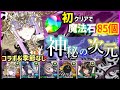 パズドラ ラフィーネで神秘の次元攻略!(コラボ季節系なし編成)