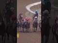 History in the Kentucky Derby! GOLDEN TEMPO for Cherie DeVaux - First Female Trainer to Win it!