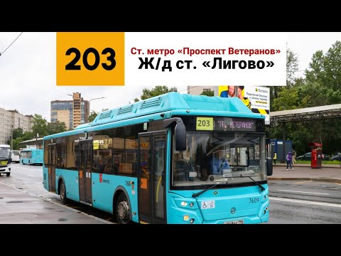 Автобус 203. Ст. метро «Проспект Ветеранов» - Ж/д ст. «Лигово».