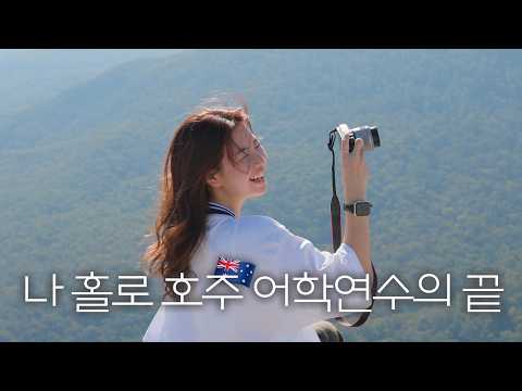 [시드니어학연수#4🇦🇺] 마지막 수업 🥲 | 친구들아 너무 반가웠어!🥺🥺 | 블루마운틴 투어 ⛰️ | 페더데일 와일드라이프센터에서 코알라한테 차이다 🐨 | 호주 어학연수 후기🫶