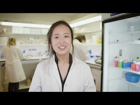 Neuroplasticity Research in