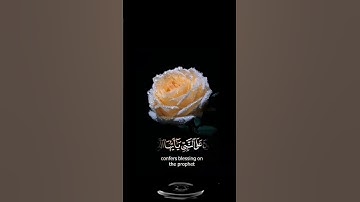 صباح الخير🍃 اجمل حالات واتس اب مقاطع قصيره🍃 قران كريم ان الله وملائكته يصلون على النبي🍃 بدون حقوق