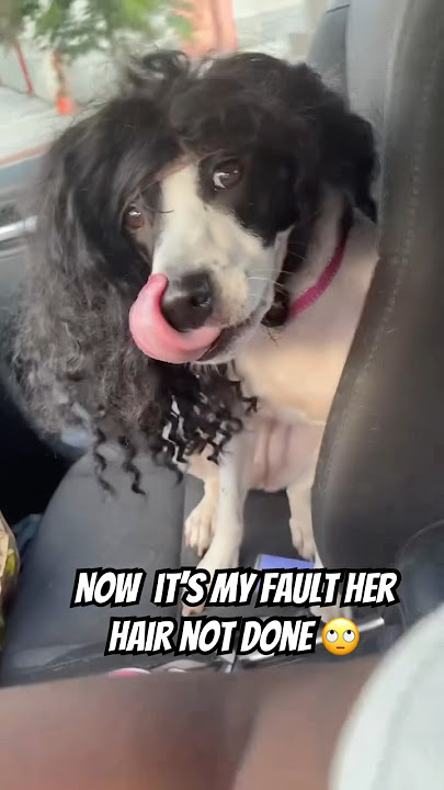 Now it’s my fault her hair not done