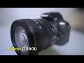 Nikon D5600 Best Settings