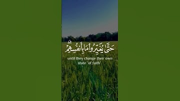 أرح سمعك 🥀القارئ: طارق محمد 🍃حالات واتس آب